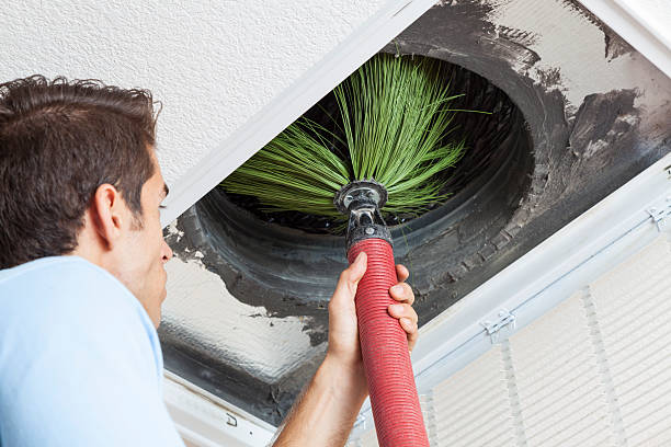 Best Home Air Vent Cleaning  in Benwood, WV